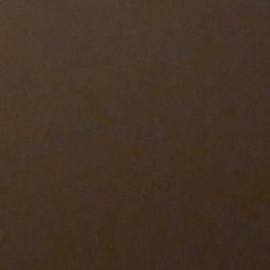 Meet your Posher, Samuel